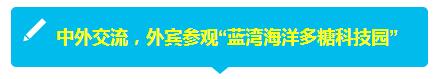 QQ截图20170926090732.jpg